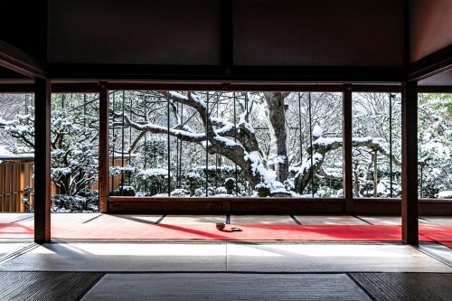 Snow viewing at Jikkoin and Hosenin temples in Ohara (near Kyoto), winter sceneries (snowy persimmon