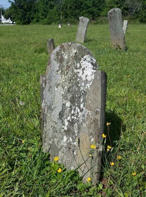 ashevillecemeteries: Old Salem Cemetery - Fletcher, NC