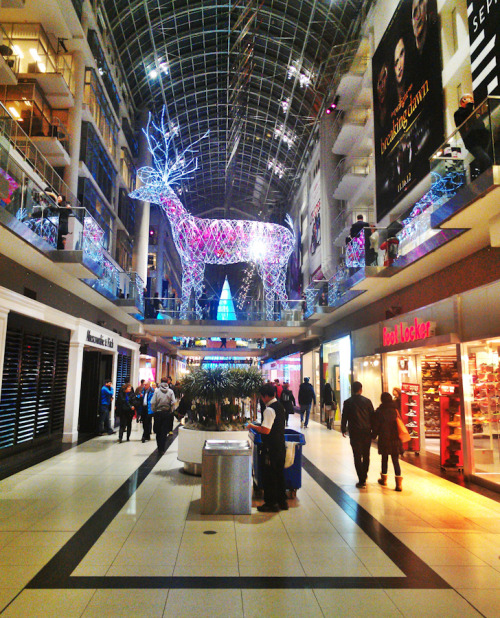 eaton centre