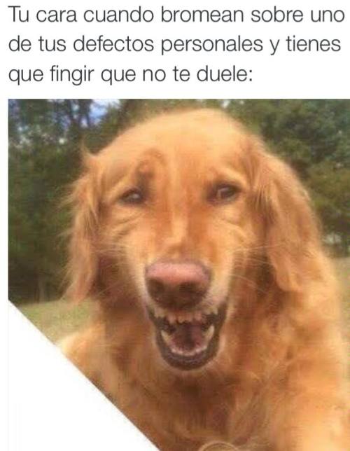 Follamos con Gordas