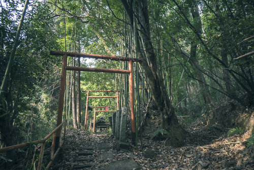 elugraphy:Abandoned Shinto shrine with the waterfall.