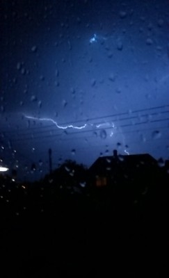 lushplant:  the thunderstorm that is currently