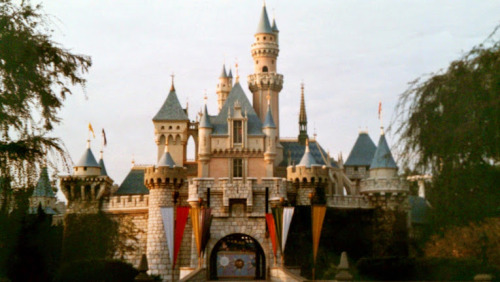 sleeping beauty castle