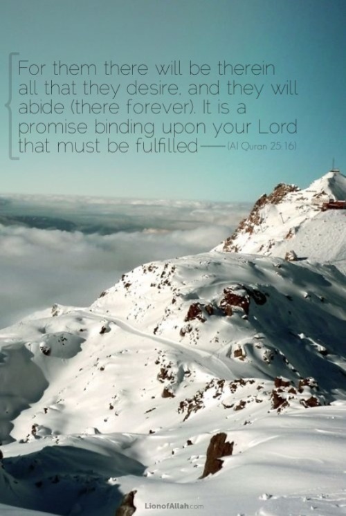 lionofallah: A promise that will be fulfilled. www.lionofAllah.com