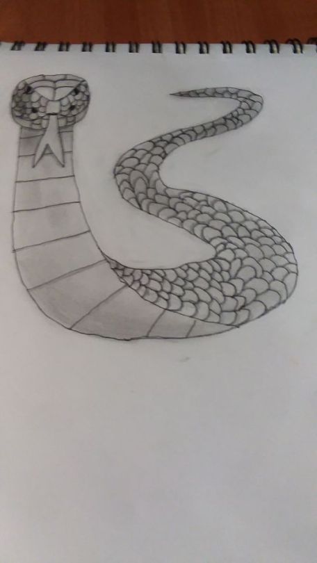 snake drawing on Tumblr
