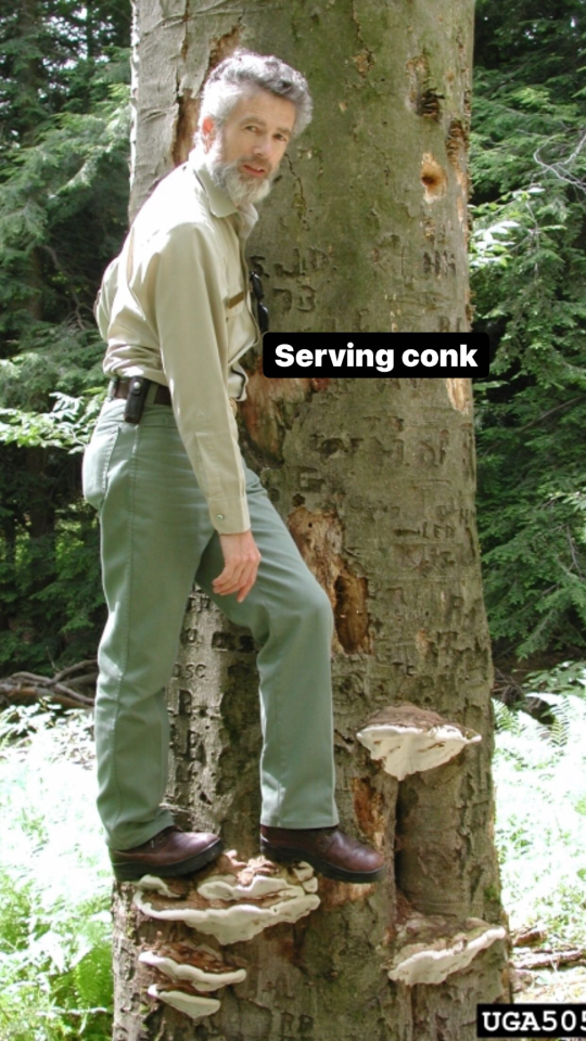 a different person in all khaki with loafers with one foot behind and one forward to have stable footing on a mushroom, but in the process doing a common male modeling pose the text says serving conk