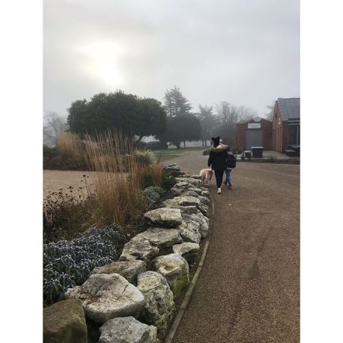 Some phone pics from a walk yesterday #family #newyearseve #misty #lincoln #lincolnshire #boulthampa