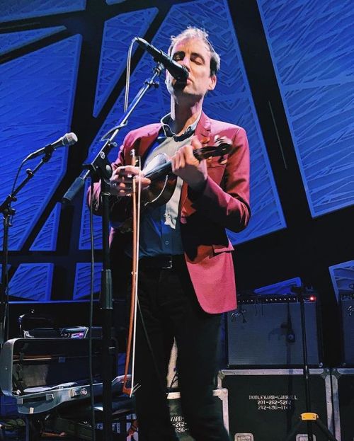 if you ever have the chance to see andrew bird three nights in a row, I have to recommend in the str