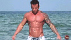 romy7:  Gary Taylor 