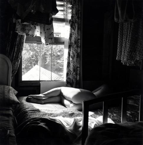 XXX killerbeesting:  Harry Callahan, Eleanor, photo