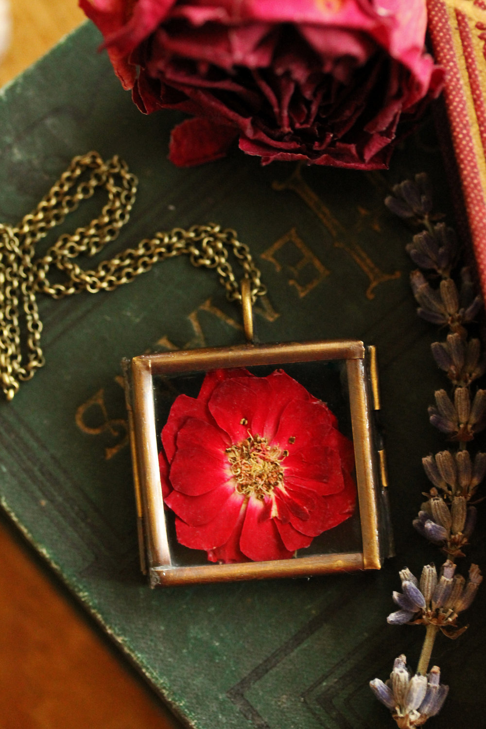 wordsnquotes:  culturenlifestyle: Romantic Crystal &amp; Terrarium  Encapsulated