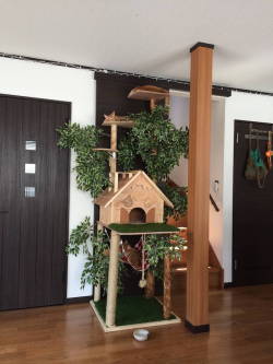 mymodernmet:  DIY Cat Tree Offers a Creative Alternative to Conventional