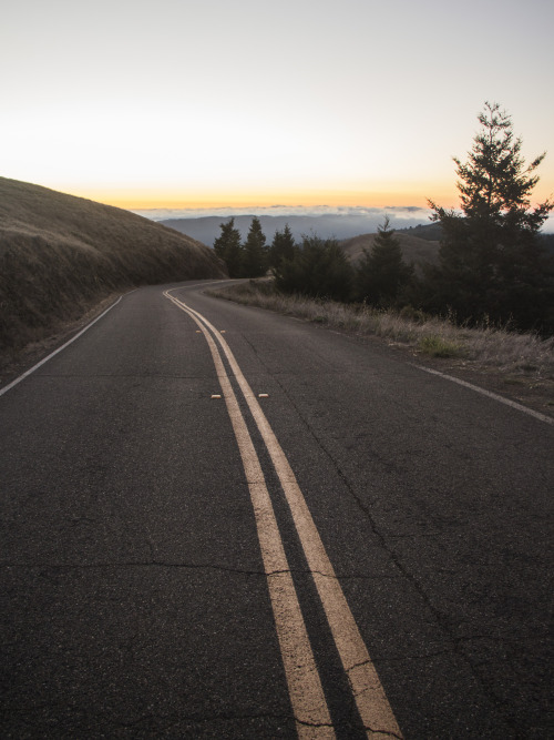 thephotographerssociety: valgoretrout: Golden hour, I drive, it’s not unlike a dream. Valeri i