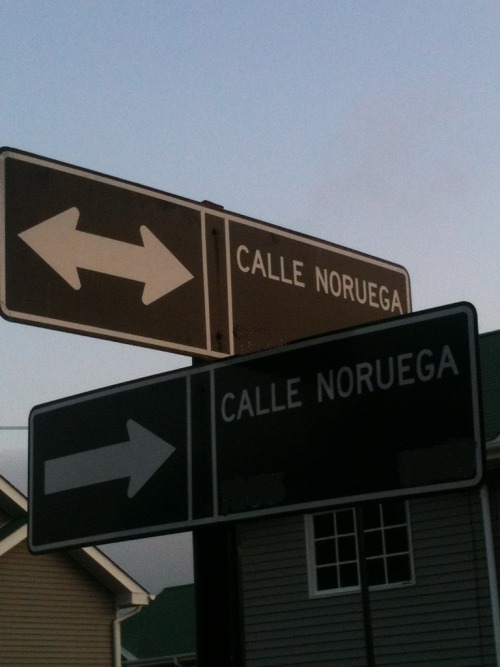 quehd:  mientras tanto en la esquina de mi casa