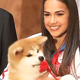 masha-russia:Alina received an Akita female puppy during an official visit of the Prime Minister of 