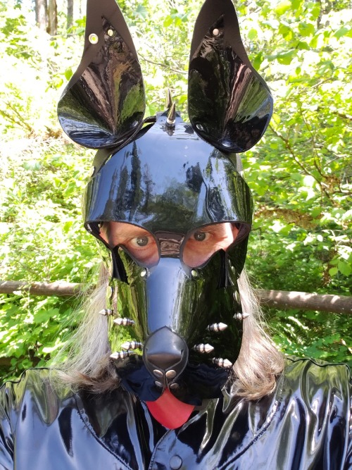 Hawk out on a hike in the woods in punk patent leather dog mask and shiny PVC baseball jersey - Woof