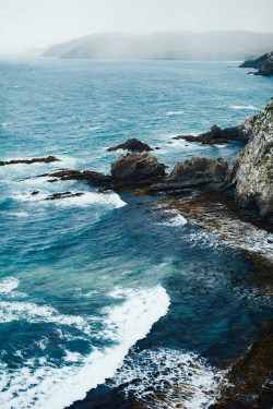 Whvrt:the Catlins (The Nugget Point), New Zealand