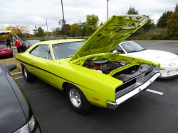 fromcruise-instoconcours:Dodge Charger R/T