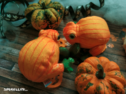roach-works: spirellity: October 1st, 2019 i found some strange pumpkins on the fields around the vi