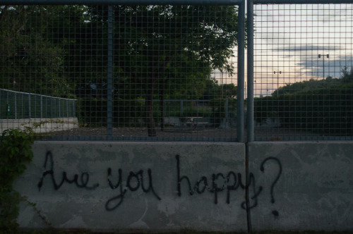 Are you happy?