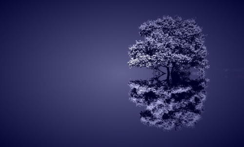 llbwwb:  (via 500px / Tree reflect! by THOMAS adult photos