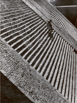 gacougnol:Armin HaabTenayucaMexico, 1949