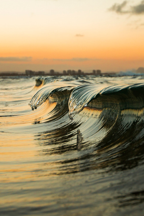 plasmatics-life:Twin Tales by Cameron Watts | (Website)