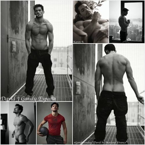 davidjgandyes:  GandySunday 16/03/14 for Mariano Vivanco  *GASP!* well gooooooooooooood morning!!