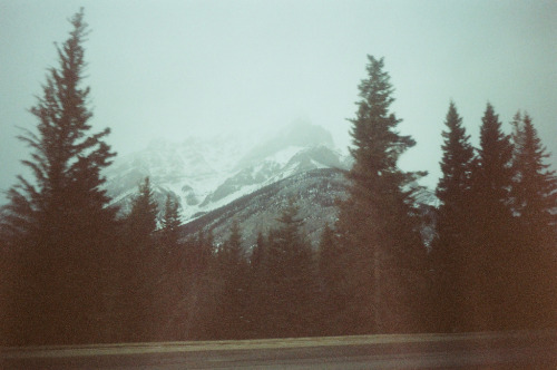 nystagmia:  vintage/vertical blog          