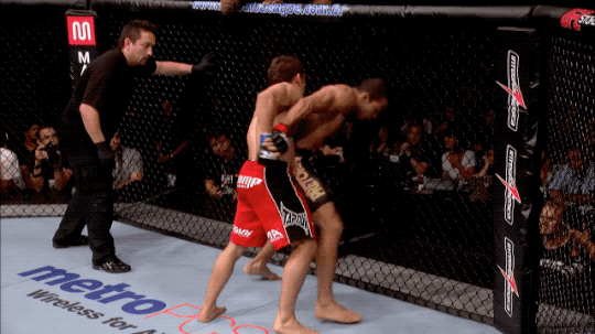 En nat Behandle Patriotisk MMA RELATED — UFC 142: Jose Aldo vs. Chad Mendes First round...
