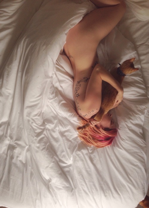 lost-lil-kitty:  How nap times work in this adult photos