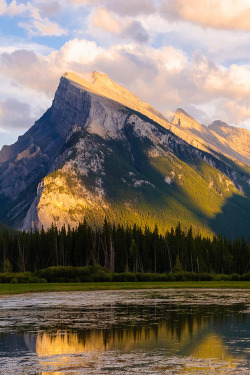 ponderation:  Mount Rundle by Lidija Kamansky 