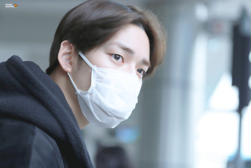  190406 | Gimpo Airport Arrival© HONEY CHICKEN | do not edit. 