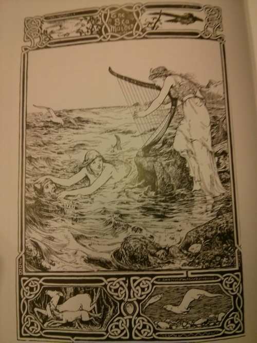 mathan-at-sea: I found this really cool book at the bookstore today. It’s a collection of fairy tales, and folklore from Insular Celtic cultures. The stories are mostly of Gaelic origin coming from Scotland, and Ireland. But there’s also some stories