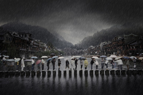 nevver:  2014 Sony World Photography Awards pt.1, in focus 