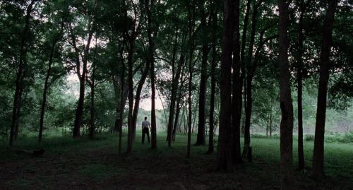 The Tree of Life (2011) - Terrence Malick