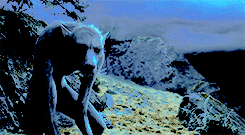 sink your roots into the rock, and face the wind.