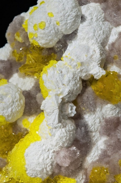 Jouravskite with Xonotlite and Hydroxyapophyllite-(K) - N'Chwaning III Mine, Northern Cape Province,