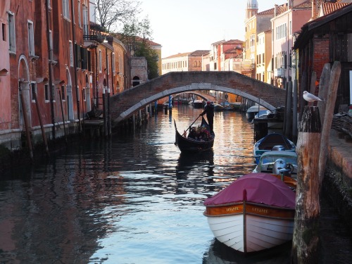 The Dorsoduro, Venice9th February 2022