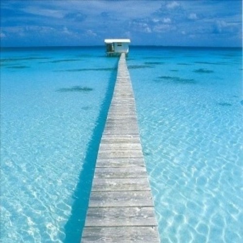 Walking on this dock to my weekend BLISS #happyhumpday #midweekvibes #destination #clearwater #blues