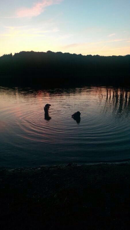 unklarheiten:  this night was so beautiful  X