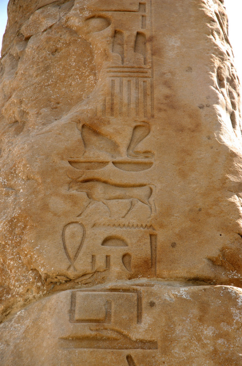 Alexandria, Egypt, Kom el-Dikka, open-air museum, obelisk of Seti I, detail (by groenling)