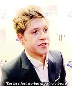 onedirectiones-blog:  what are you getting the boys for christmas? 