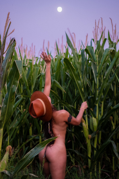 thenakeddesert:La Milpa