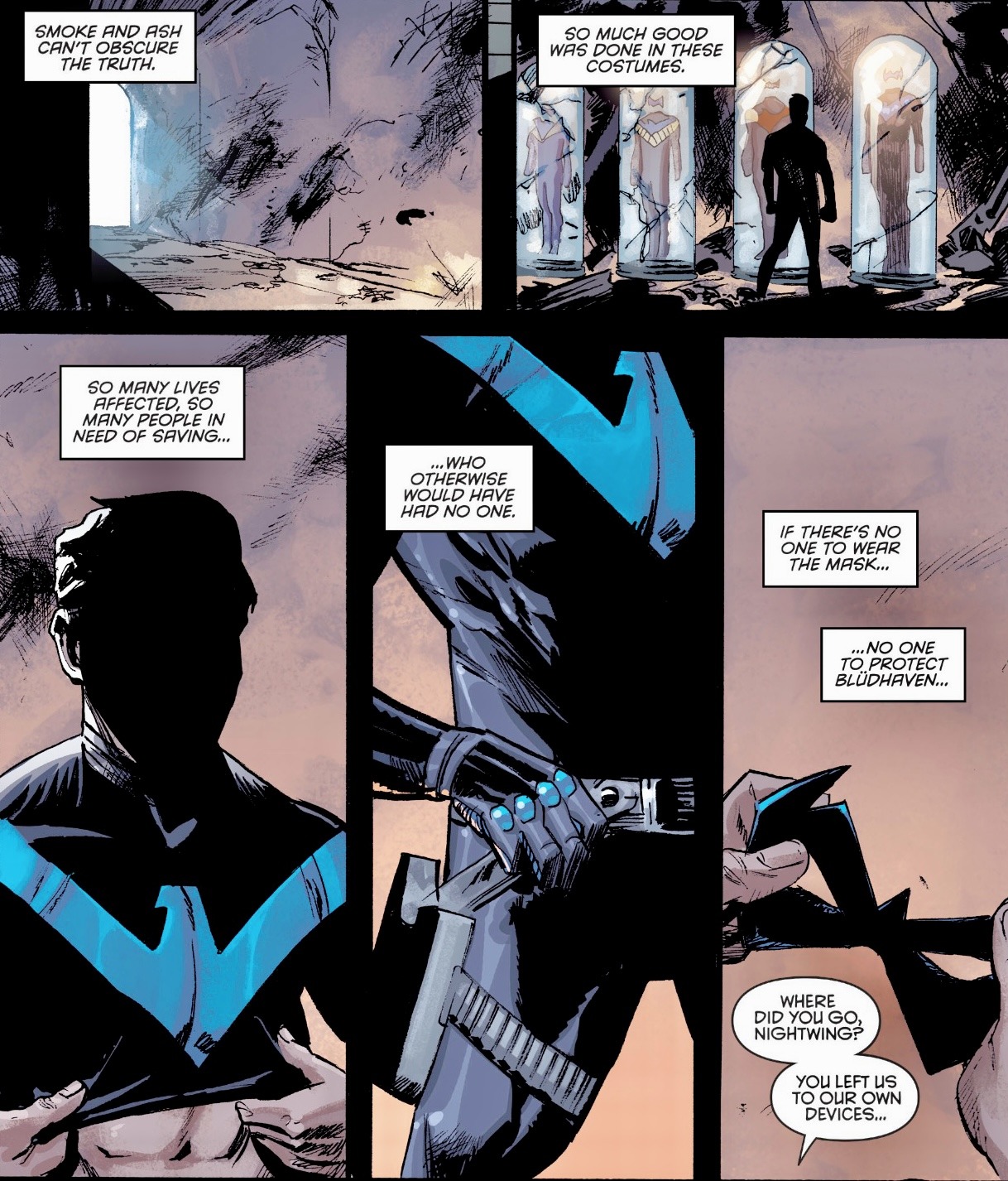 #Nightwing from Of Bats And Birds