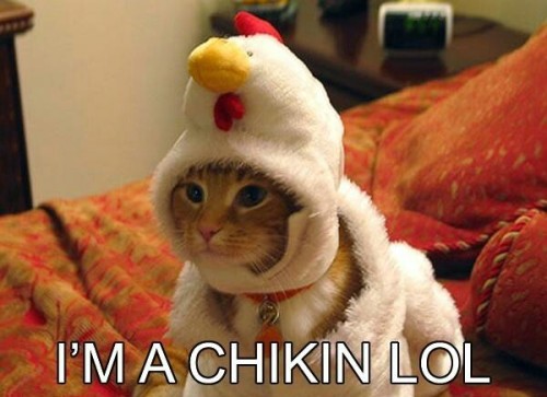 bh6 chicken meme | Tumblr