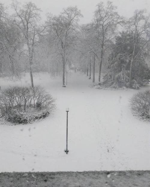 Hiltrup 10/12/17 ❄ View from my window ❄ #münster #hiltrup #münsterland #snow #snowing #letitsnow #