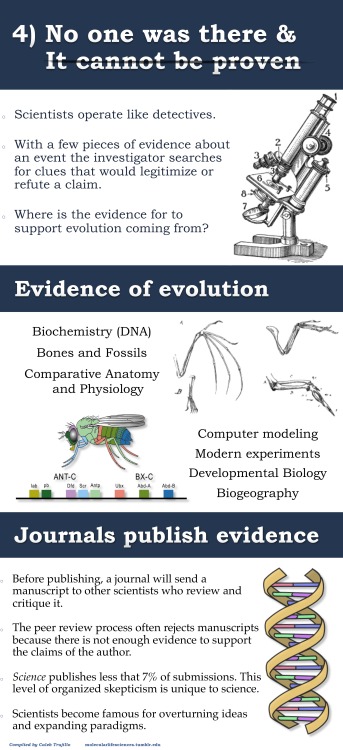 jtotheizzoe:  molecularlifesciences:  Top 5 misconceptions about evolution: A guide to demystify the foundation of modern biology. Version 2.0 Donate here to support science education:  National Center for Science Education http://ncse.com Thank you