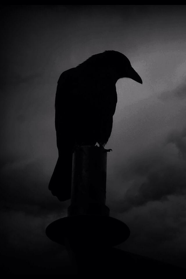 DARK&NESS..