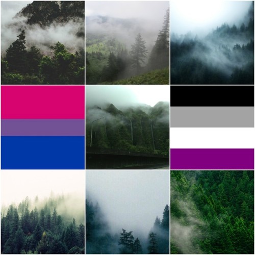 lowkey-mcgee:Bisexul &amp; Asexual Moodboard with Forests and Mountains for anon